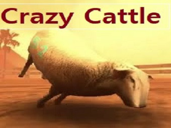 Play Crazy Cattle now!