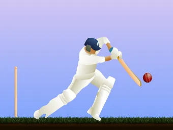 PLay Cricket now!