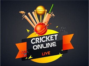 Play Cricket Online now!