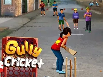PLay Gully Cricket now!