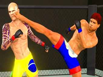 Play MMA Fighting 3D now!