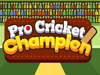 Play Pro Cricket Champion now!