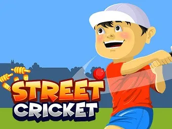 PLay Street Cricket now!